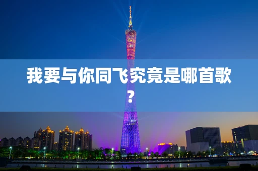 我要与你同飞究竟是哪首歌？