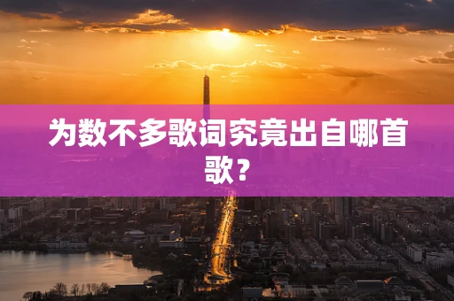 为数不多歌词究竟出自哪首歌？