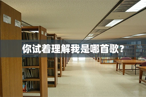 你试着理解我是哪首歌？