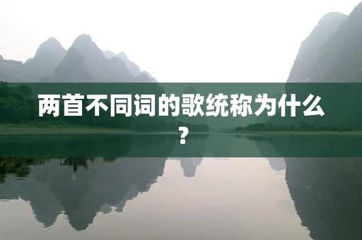 两首不同词的歌统称为什么？