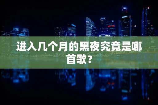 进入几个月的黑夜究竟是哪首歌？
