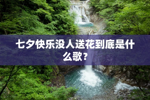 七夕快乐没人送花到底是什么歌？