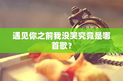 遇见你之前我没哭究竟是哪首歌？