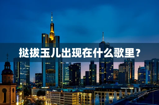 挞拔玉儿出现在什么歌里？