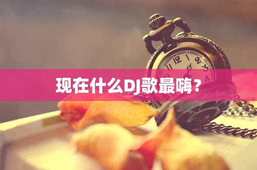 现在什么DJ歌最嗨？