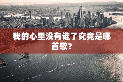 我的心里没有谁了究竟是哪首歌？