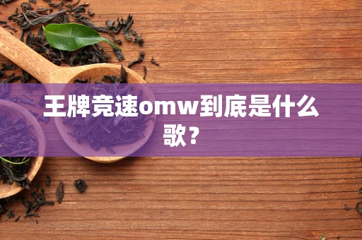 王牌竞速omw到底是什么歌？