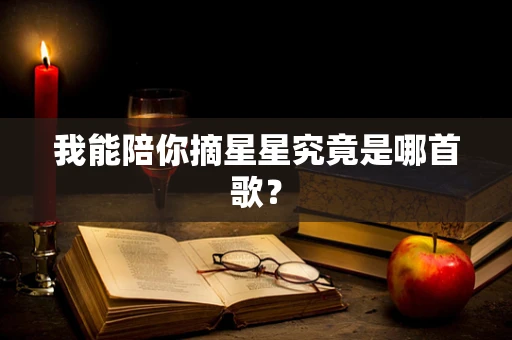 我能陪你摘星星究竟是哪首歌？