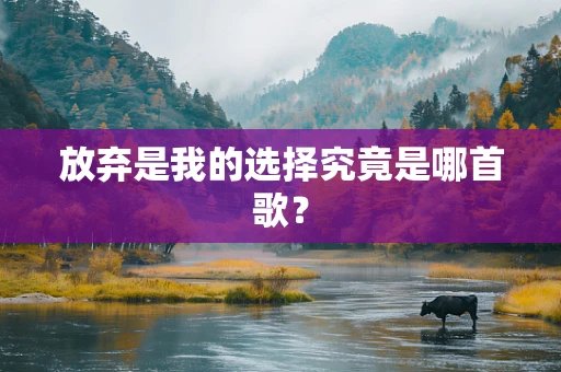 放弃是我的选择究竟是哪首歌？