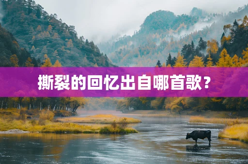 撕裂的回忆出自哪首歌？