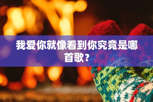 我爱你就像看到你究竟是哪首歌？