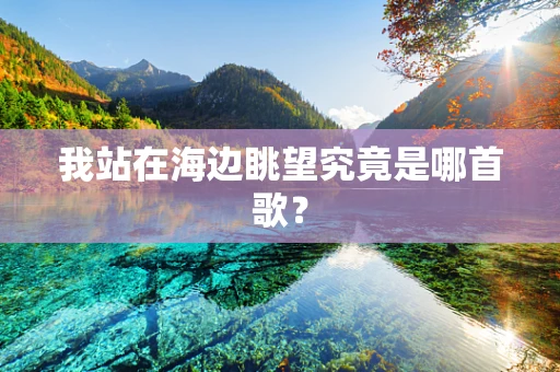 我站在海边眺望究竟是哪首歌？