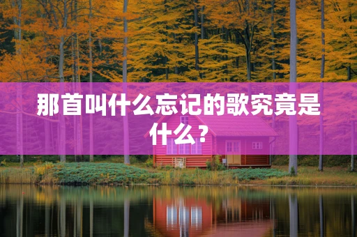 那首叫什么忘记的歌究竟是什么？