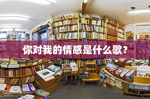 你对我的情感是什么歌？