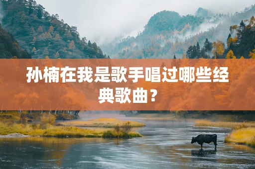 孙楠在我是歌手唱过哪些经典歌曲？