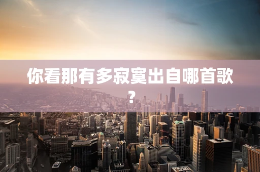 你看那有多寂寞出自哪首歌？