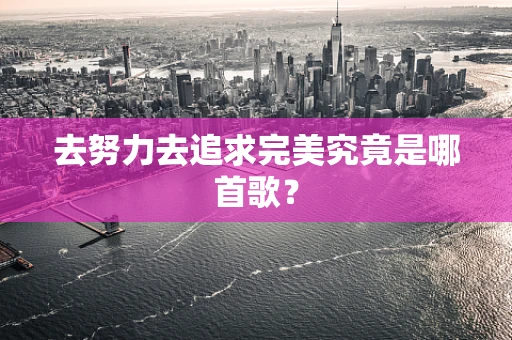 去努力去追求完美究竟是哪首歌？
