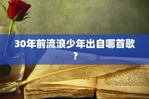 30年前流浪少年出自哪首歌？