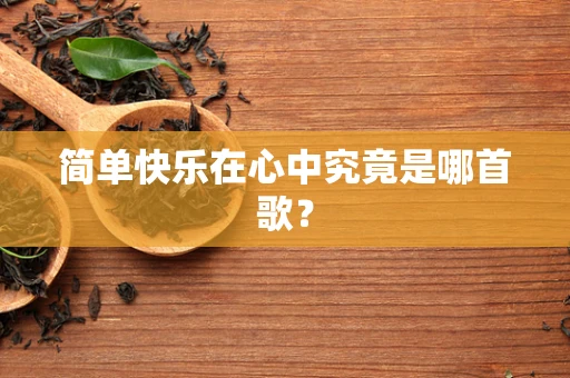 简单快乐在心中究竟是哪首歌？