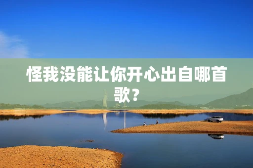 怪我没能让你开心出自哪首歌？