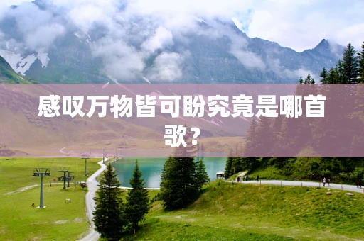 感叹万物皆可盼究竟是哪首歌？