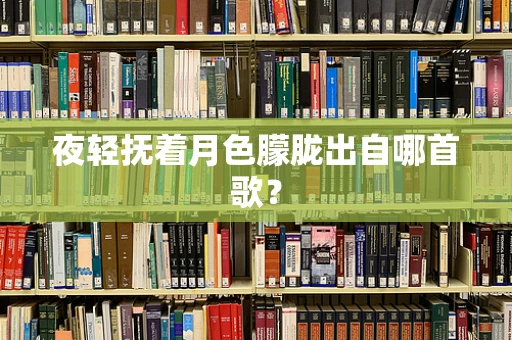 夜轻抚着月色朦胧出自哪首歌？