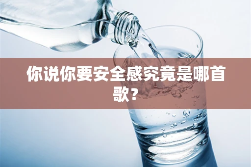 你说你要安全感究竟是哪首歌？