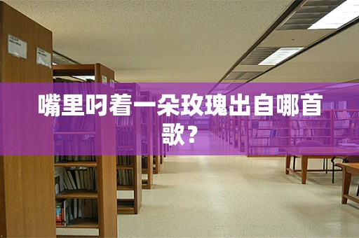 嘴里叼着一朵玫瑰出自哪首歌？