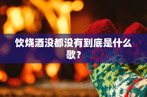 饮烧酒没都没有到底是什么歌？