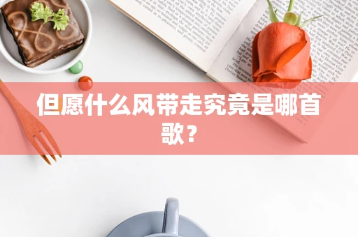 但愿什么风带走究竟是哪首歌？