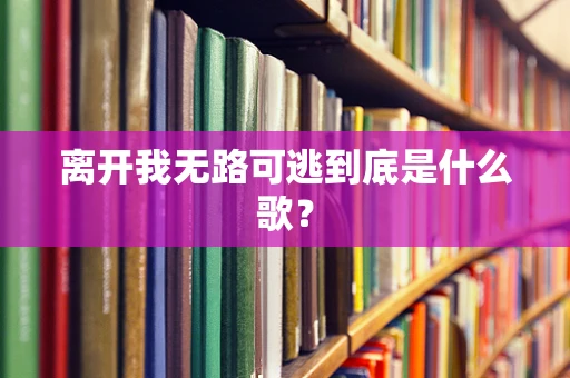 离开我无路可逃到底是什么歌？