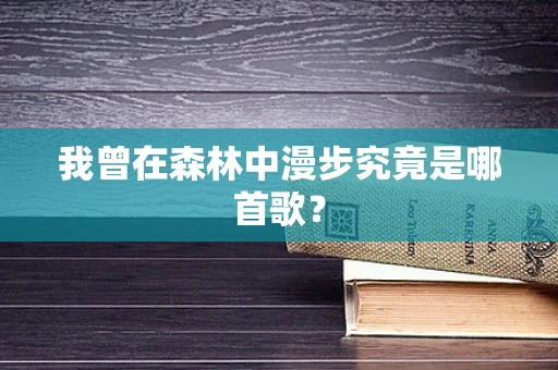 我曾在森林中漫步究竟是哪首歌？