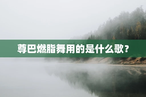 尊巴燃脂舞用的是什么歌？