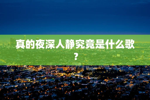 真的夜深人静究竟是什么歌？