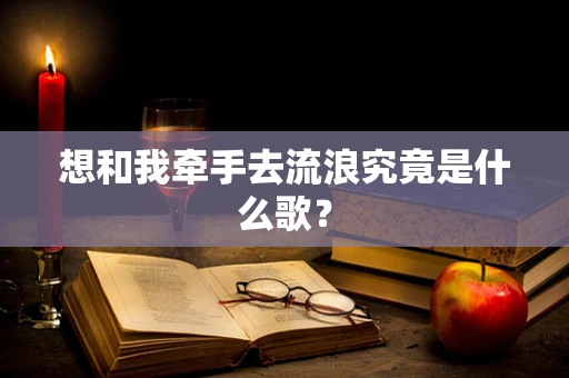 想和我牵手去流浪究竟是什么歌？