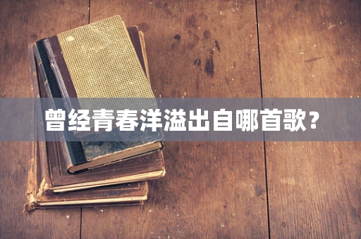 曾经青春洋溢出自哪首歌？