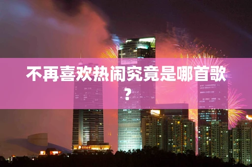 不再喜欢热闹究竟是哪首歌？