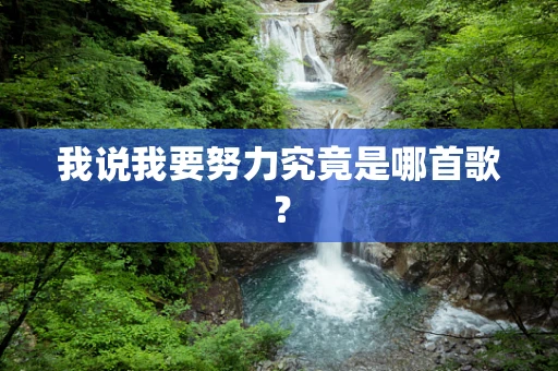 我说我要努力究竟是哪首歌？