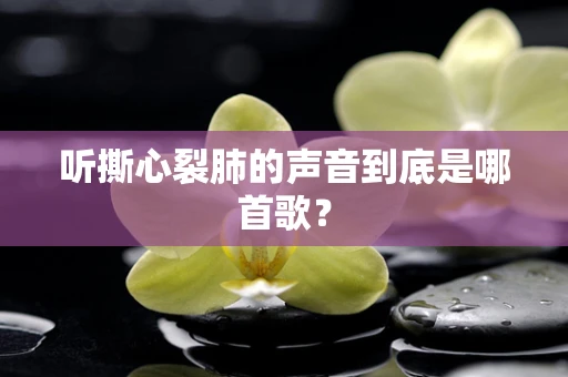 听撕心裂肺的声音到底是哪首歌？