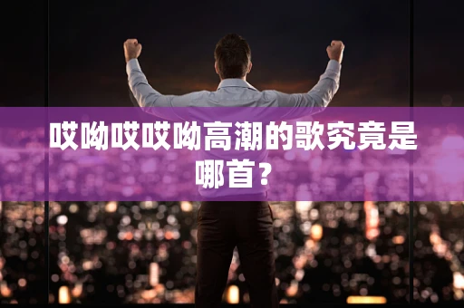 哎呦哎哎呦高潮的歌究竟是哪首？