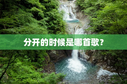 分开的时候是哪首歌？