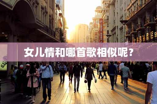 女儿情和哪首歌相似呢？