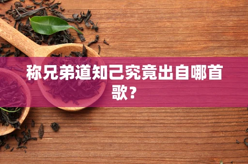 称兄弟道知己究竟出自哪首歌？