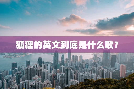 狐狸的英文到底是什么歌？