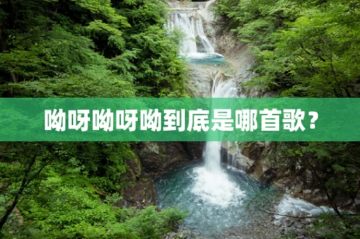 呦呀呦呀呦到底是哪首歌？