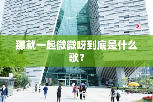 那就一起微微呀到底是什么歌？