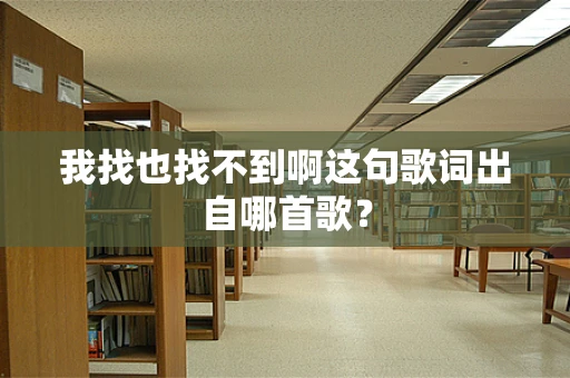 我找也找不到啊这句歌词出自哪首歌？
