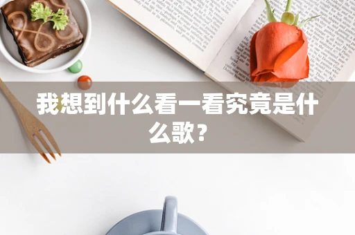 我想到什么看一看究竟是什么歌？