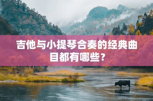 吉他与小提琴合奏的经典曲目都有哪些？