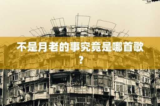 不是月老的事究竟是哪首歌？